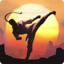 暗影格斗阴影 v1.3.3 安卓版