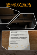 恐怖双胞胎最新版-图5