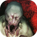 标本零无限子弹版