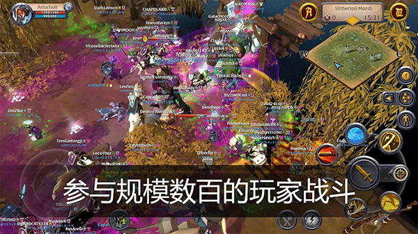 阿尔比恩国际服(Albion Online Client)(3)