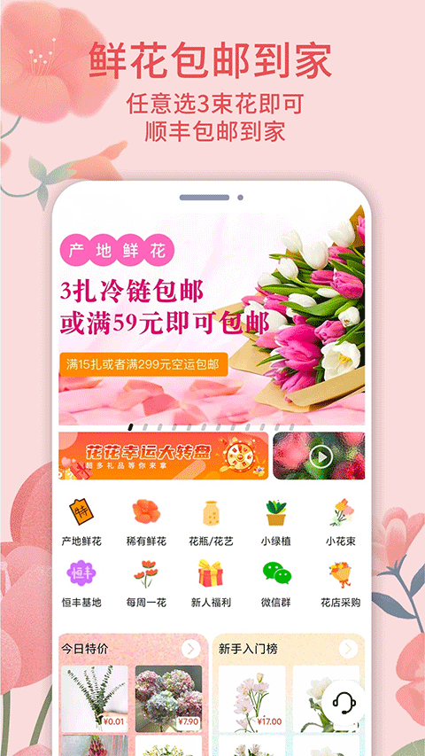 云选鲜花批发图1
