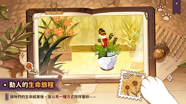 猫逝中文版图3