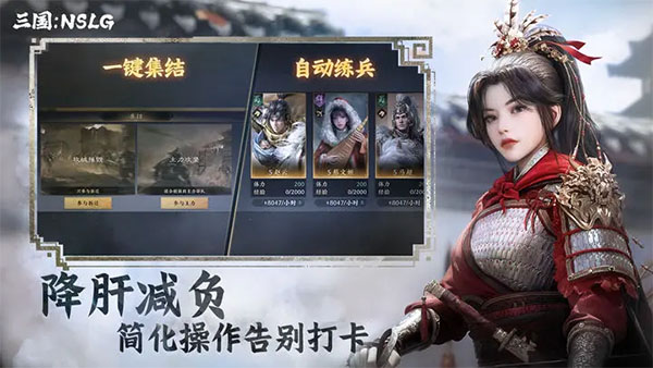 三国NSLG(5)