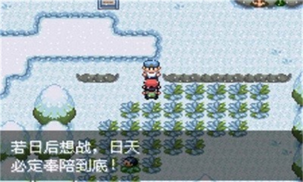 口袋妖怪最強進化手機版