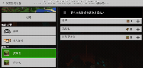 我的世界版