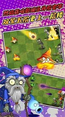 植物大战僵尸原版(2)