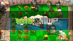 植物大战僵尸西游记版