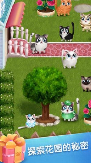 口袋猫咪免费版