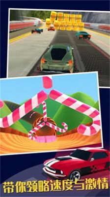 飛車駕駛