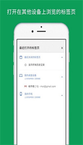 Chrome浏览器图1