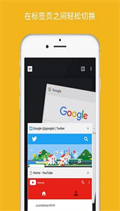 Chrome浏览器图2