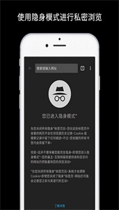 Chrome浏览器图3