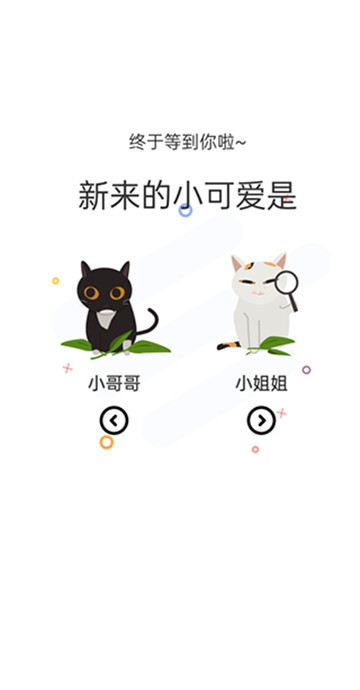 喵上漫畫