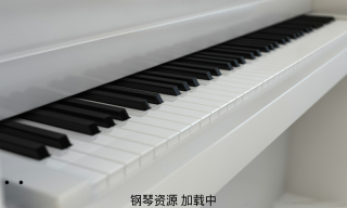 钢琴模拟器手机版图4