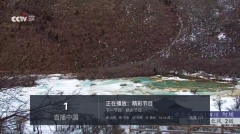 秒看电视