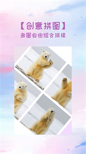 照片切圖與拼圖軟件