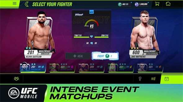 ufc22025最新版