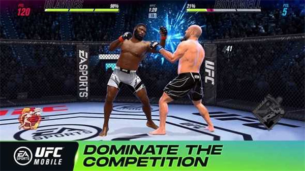 ufc22025最新版