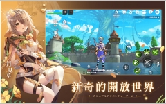 星之夢幻島中文版