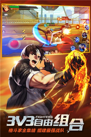 拳皇命運全人物內購版