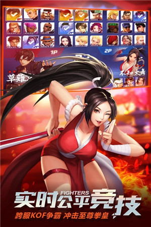 拳皇命運全人物內購版