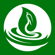 綠色金子