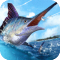 釣魚達人 v1.0 安卓版