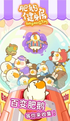 肥鹅健身房2025