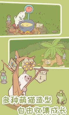 猫咪物语图3