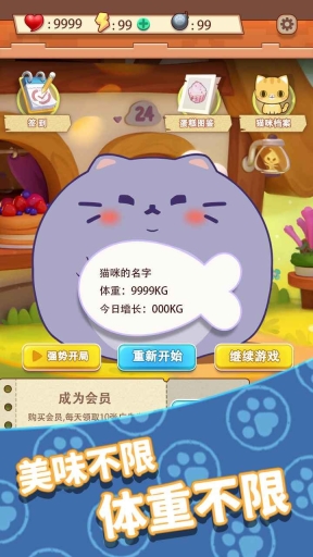 養只大肥貓