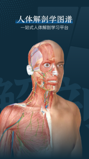 人体解剖3d