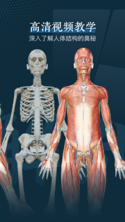 人体解剖3d