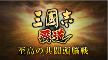 三國志霸道威力加強版