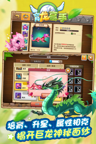 育龍高手魔晶無限版