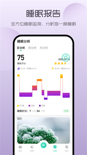 萤火虫睡眠老版图4