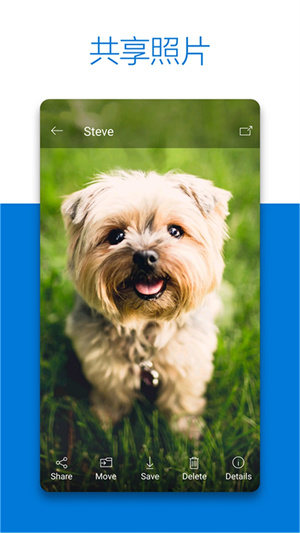 OneDrive5T永久容量版