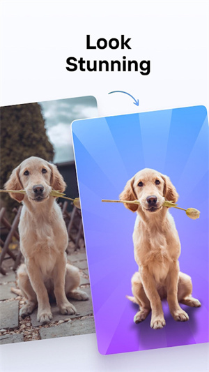 Photoroom中文 v4.7.4 安卓版