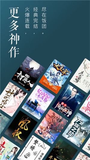 饭团追书安装 v2.9.9 安卓版图2