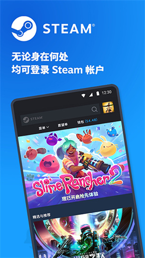 Steam国内版图1