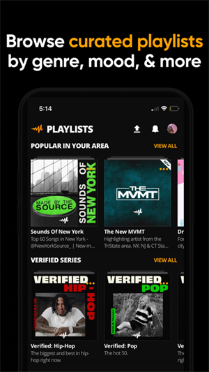 Audiomack免登录版图5