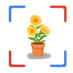 花朵識別