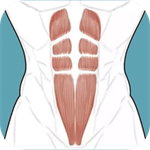 跟我练腹肌 v3.1.0 安卓版