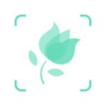 形色拍照識別花和植物 v3.14.24 安卓版