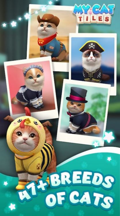 我的猫猫生活图3
