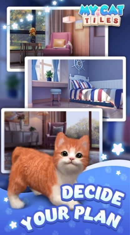 我的猫猫生活图1