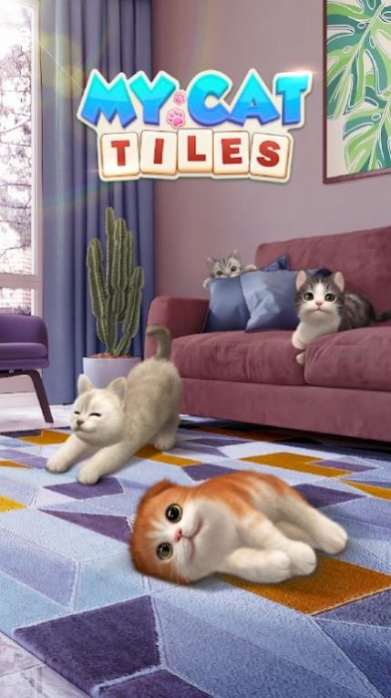我的猫猫生活图2