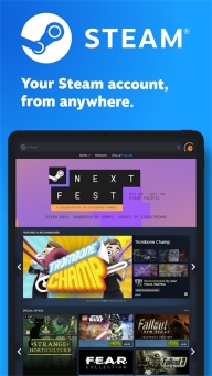 steam