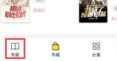 饭团追书免费版图3