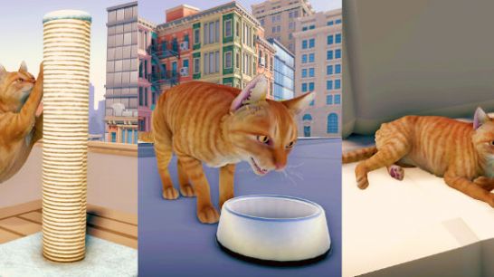 猫咪历险记大都市图3