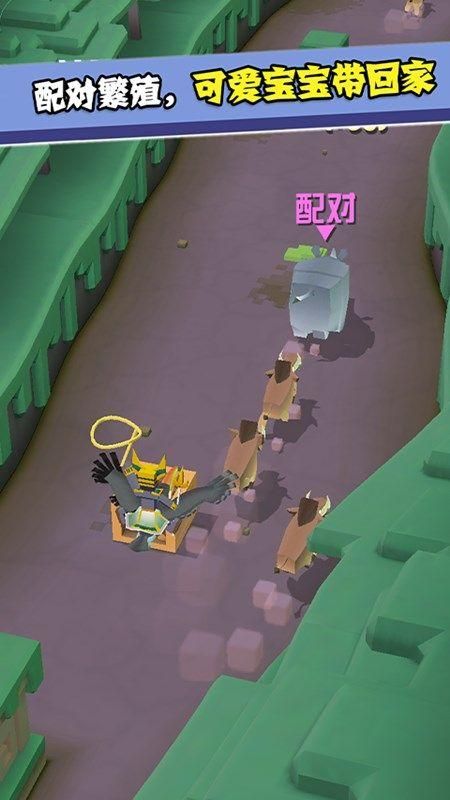 疯狂动物园